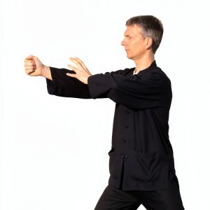 Kindle Store Best Seller: Mastering Taichi for Quick Workouts-0