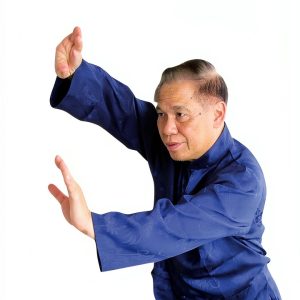 Tai Chi & Qi Gong Mastery: A Comprehensive Guide for Beginners-0