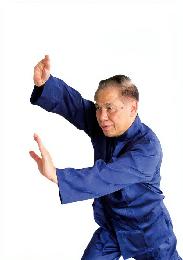 Tai Chi & Qi Gong Mastery: A Comprehensive Guide for Beginners-0