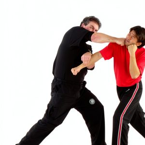 Martial Arts Training Guide by Ulysses Press-0